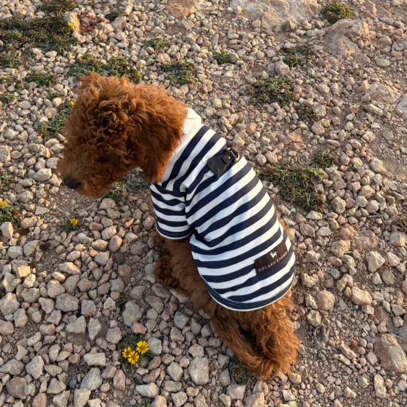 Polo marinero