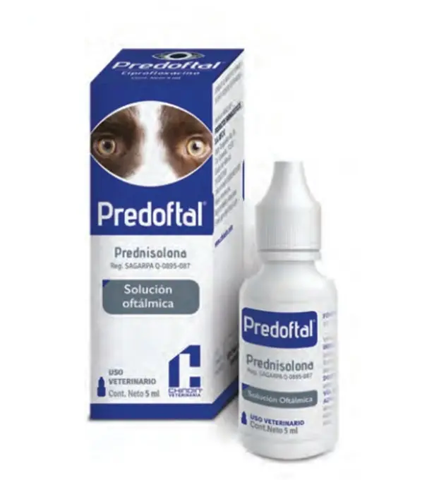 Predoftal gotas 5 mL perros y gatos TEMPORALMENTE AGOTADO