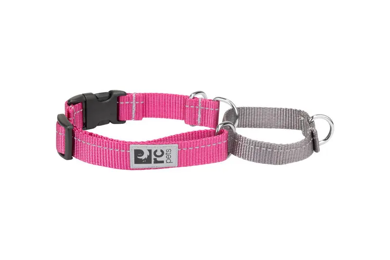 Primary Web Training Clip Collar Arándano c/Reflejante para Perros de RC Pets
