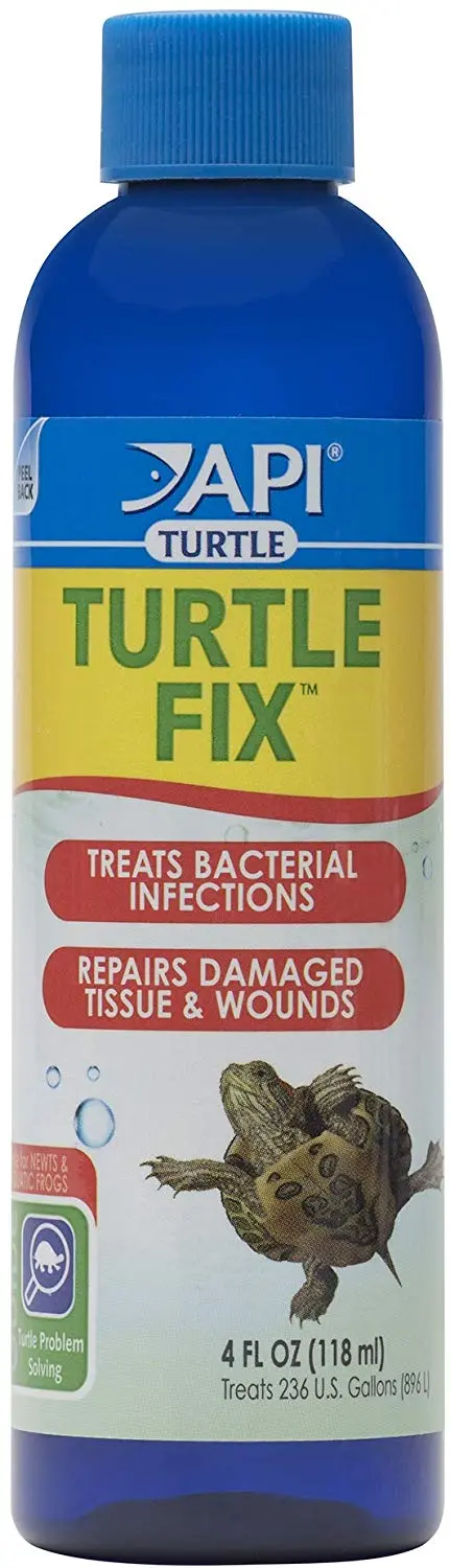Productos de tortuga API