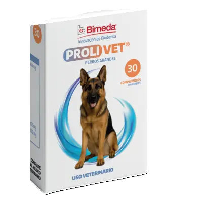 Prolivet Perros Grandes 30 comprimidos ( Hepatoprotector )