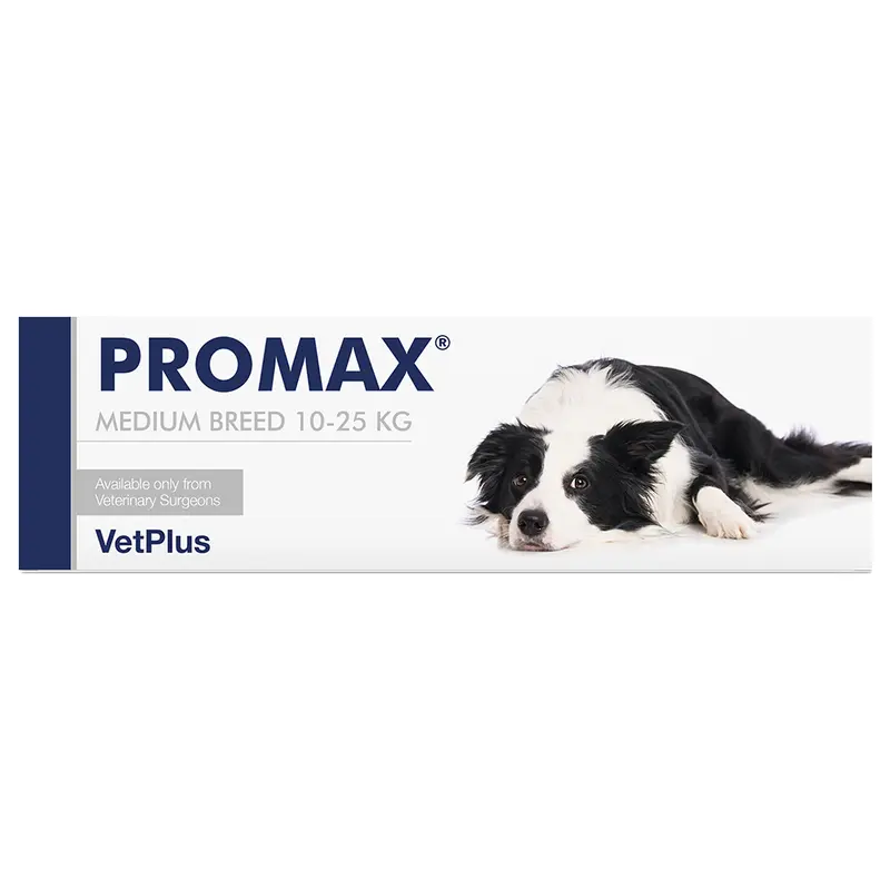 Promax Jeringa 18 ml – Suplemento Digestivo para Mascotas de 10 a 25 kg | VetPlus