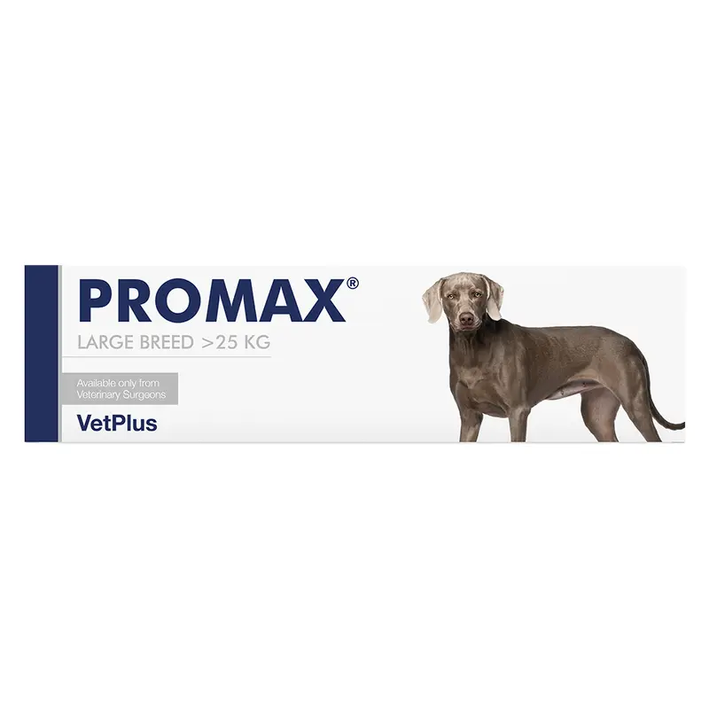 Promax Jeringa 30 ml – Suplemento Digestivo para Mascotas de más de 25 kg | VetPlus