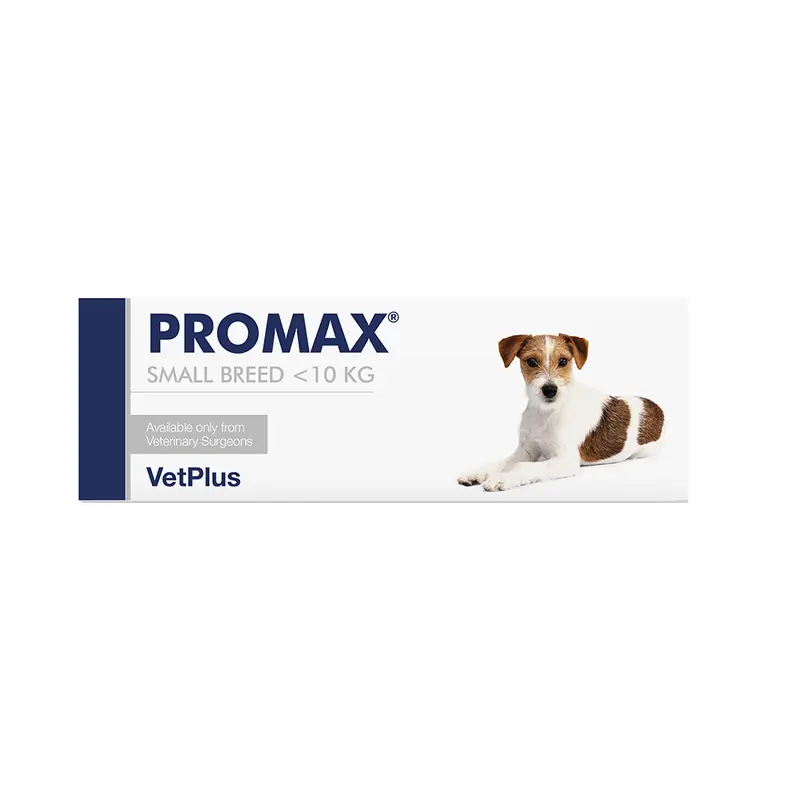 Promax Jeringa 9 ml – Suplemento Digestivo para Mascotas hasta 10 kg | VetPlus