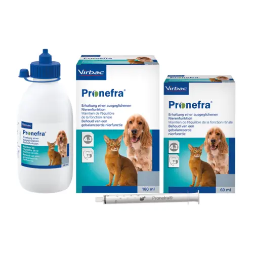 Pronefra Suspensión Oral Perros y Gatos | Protección Renal Crónica | 60 ml