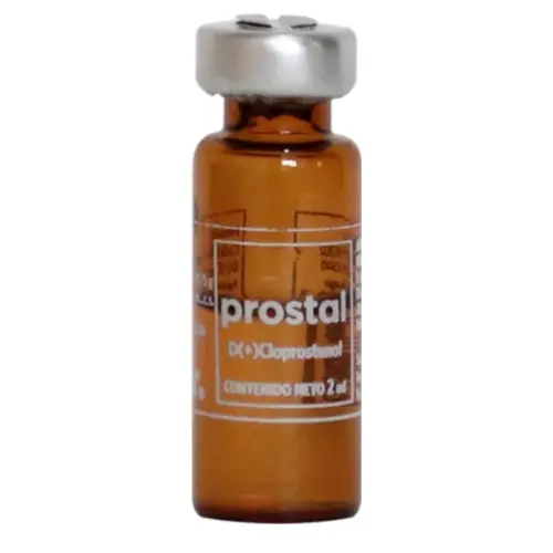 PROSTAL X 2 ML