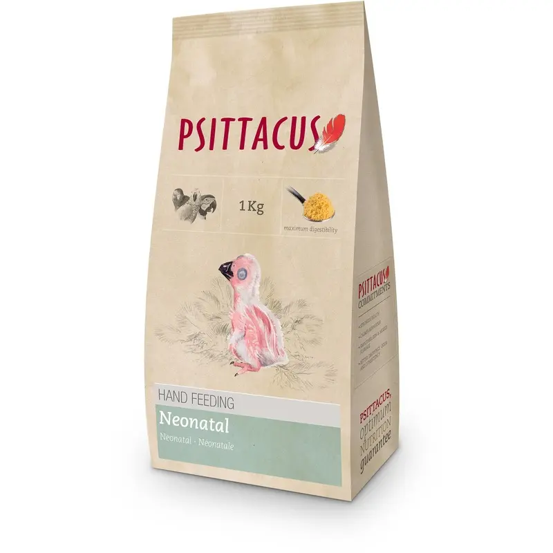 Psittacus Papilla Loros Neonatal 1 kg