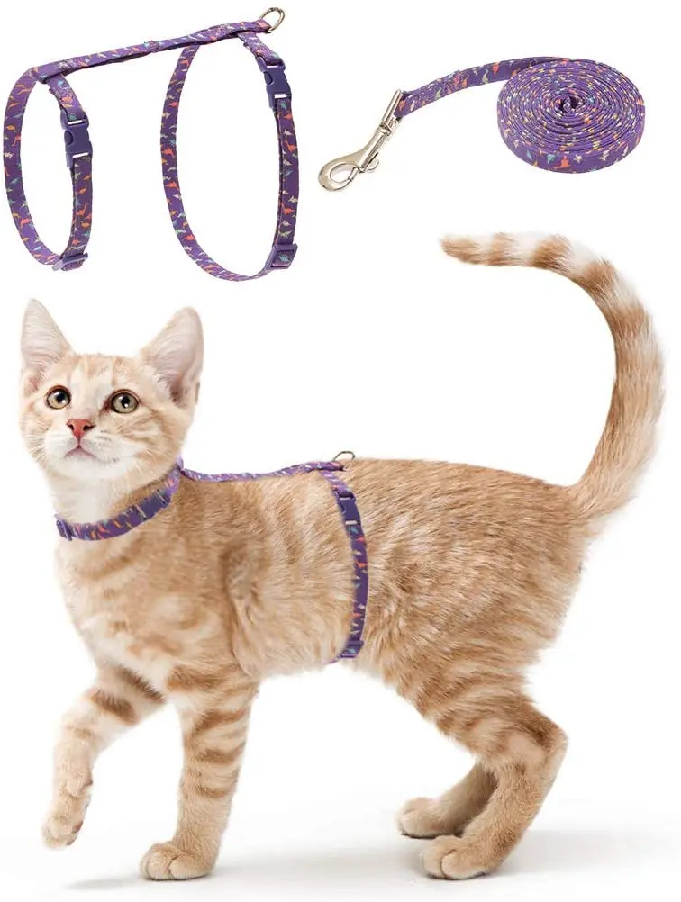 PUPTECK - Arnés para gato con correa, correa suave ajustable con diseño de moda