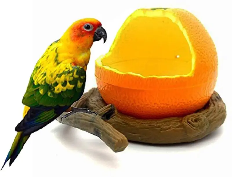 Pxlucky - Comedero para pájaros, cuenco para comida de pájaros, taza para loros pequeños, cacatúas, hámster, pequeño animal, recipiente para agua potable para pájaros, jaula de accesorios