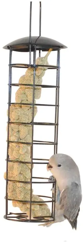 QBLEEV alimentador de tubo de pájaro, colgante de loro, tubo de forraje de juguetes para jaulas, soporte de mijo creativo para loro, caja de regalo de frutas y verduras.