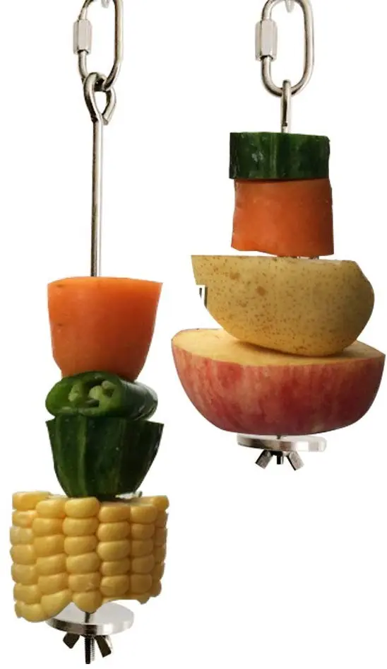 QBLEEV - Soporte para pájaros, comederos para pájaros, soporte para palos de frutas y verduras de acero inoxidable, juguete de forraje, pinchos para pájaros