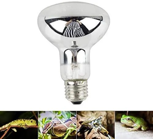 QSLQYB UVA + UVB Full Spectrum Sun Lamp Sunbathe Reptile Lizard Lamp UV Heating Lamp