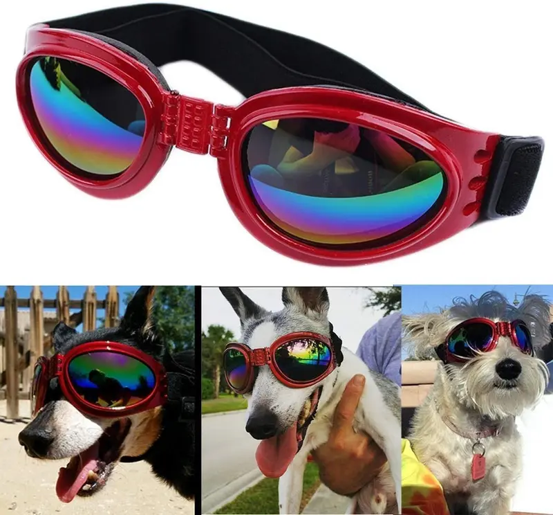 QUMY Dog Goggles Eye Wear Protection Waterproof Pet Sunglasses for Dogs About Over 15 lbs