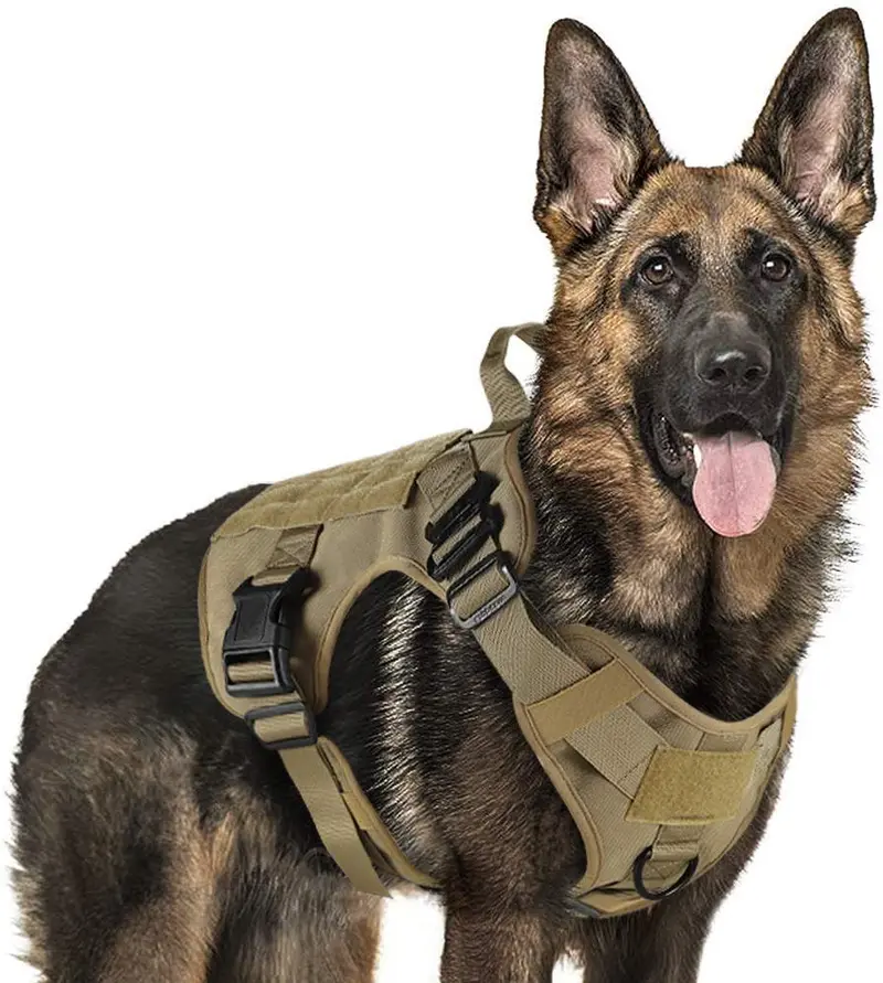 Rabbitgoo Tactical Dog Harness Vest Large with Handle, Military Working Dog Molle Vest with Metal Buckles & Loop Panels, No-Pull Adjustable Training Harness with Leash Clips for Walking Hiking Hunting
