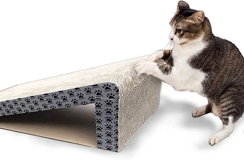 Rampa para gatos iPrimio – plegable para viajes y fácil almacenamiento – ideal para gatos jugar en el exterior, bajo y arañazos – diseño pendiente de patente