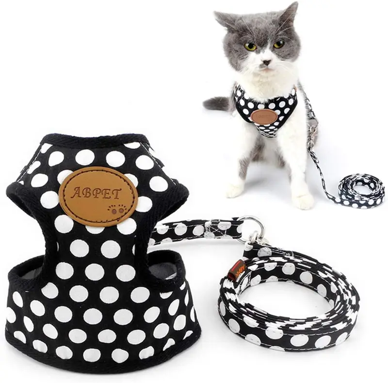 Ranphy - Arnés, sin tirar, acolchado, chaleco y correa para pasear con arnés de entrenamiento para niños y niñas, malla ajustable para gatos