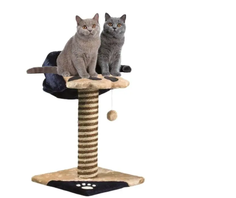 Rascador Gato Félix