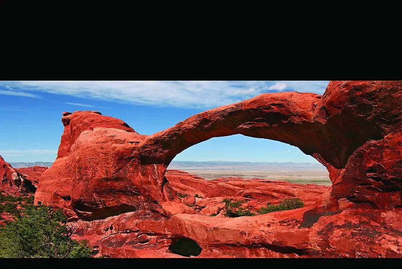 Reptil Habitat fondo, Big arco, 24" x 36", con cuadrados adhesivos