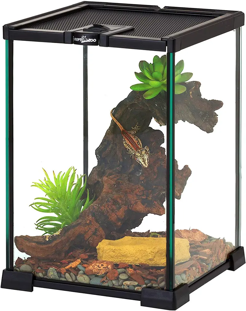 REPTIZOO Mini terrario de cristal para reptiles, vista completa visualmente atractiva, mini hábitat de vidrio para reptiles.