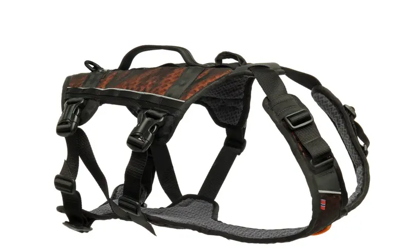 Rock harness long