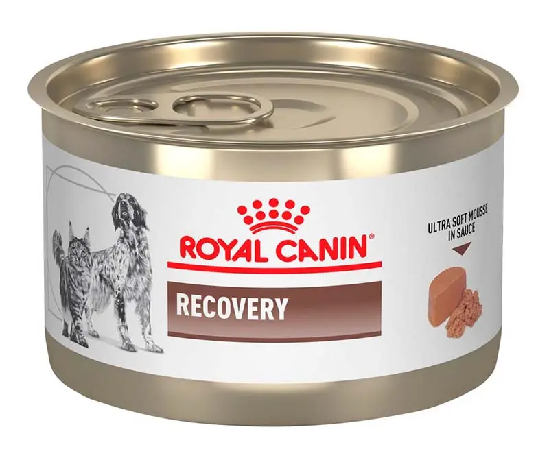 Royal Canin Lata Recovery 145g