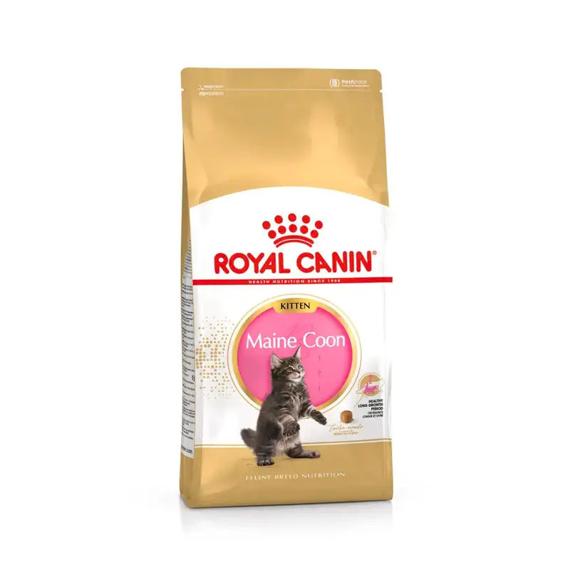 Royal Canin Maine Coon Kitten pienso para gatitos