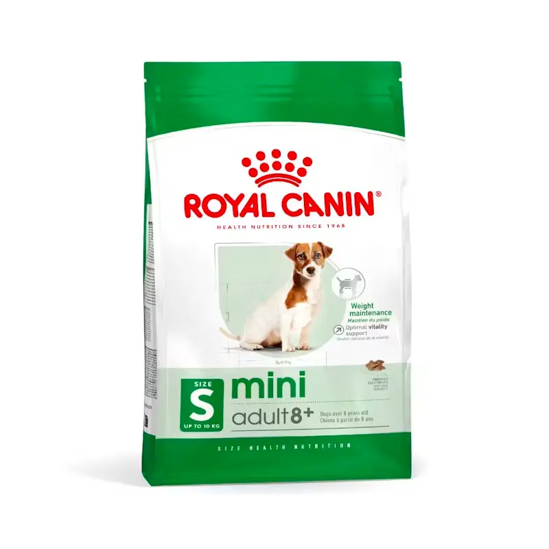 Royal Canin Mini Adult 8+ pienso para perros