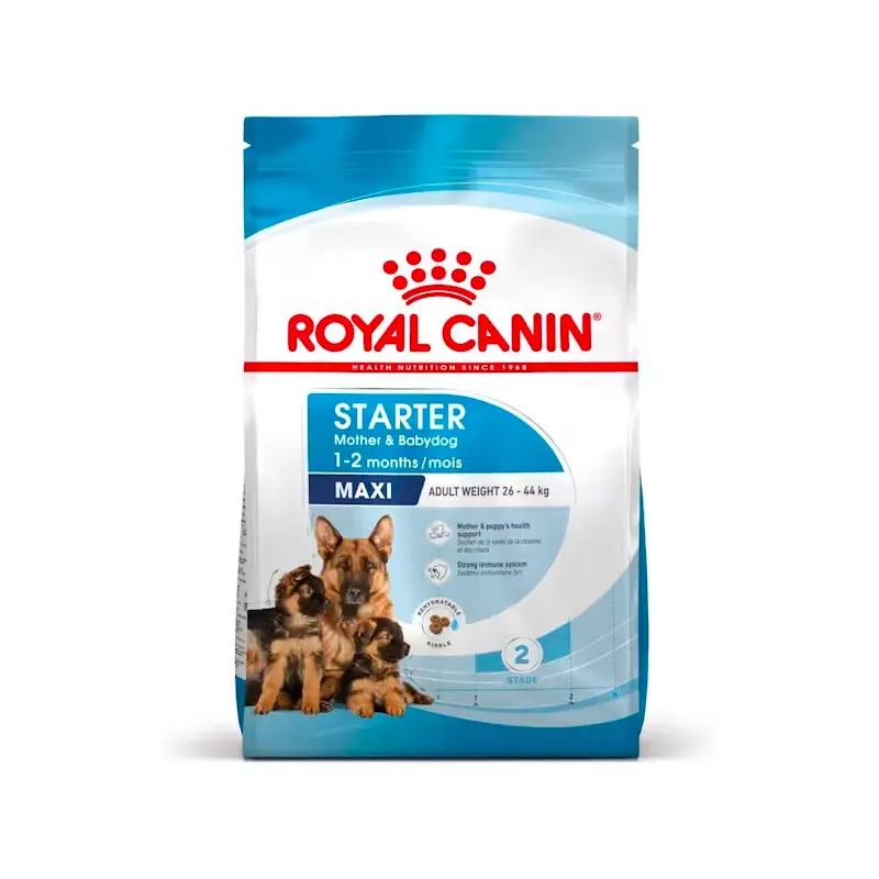 Royal Canin Starter Maxi pienso para perros