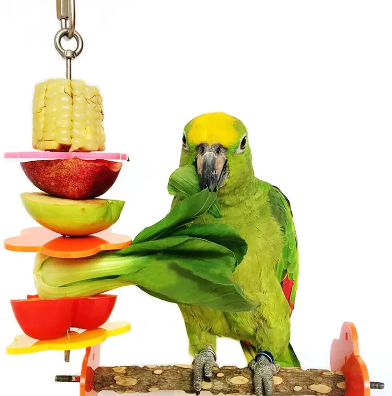 rypet brochetas de pájaros, aves y animales pequeños soporte frutas y verduras de acero inoxidable para jaulas