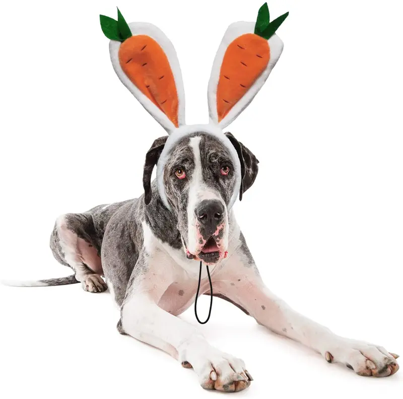 RYPET - Disfraz de conejo de zanahoria, orejas de conejo de Pascua para perros pequeños a grandes perros y gatos