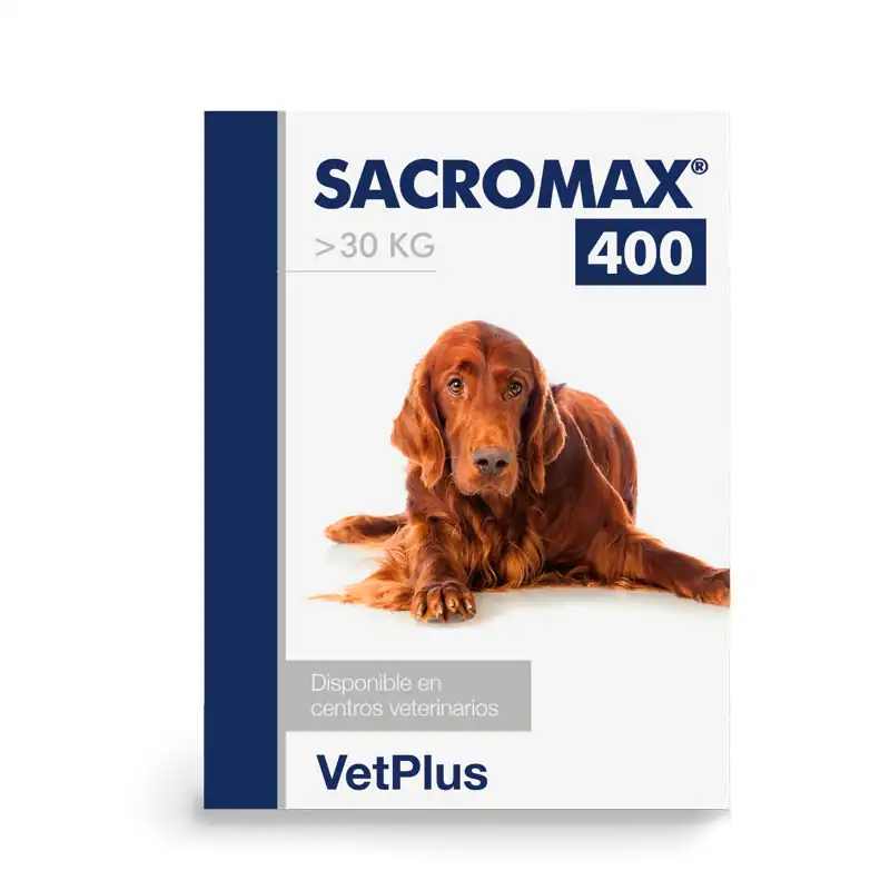 Sacromax 400 – 30 Sobres Hepatoprotector para Perros Grandes (+30 kg)