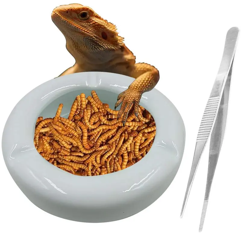 SciEdu Reptile Dish Ceramic Reptile Bowl with Feeding Tongs