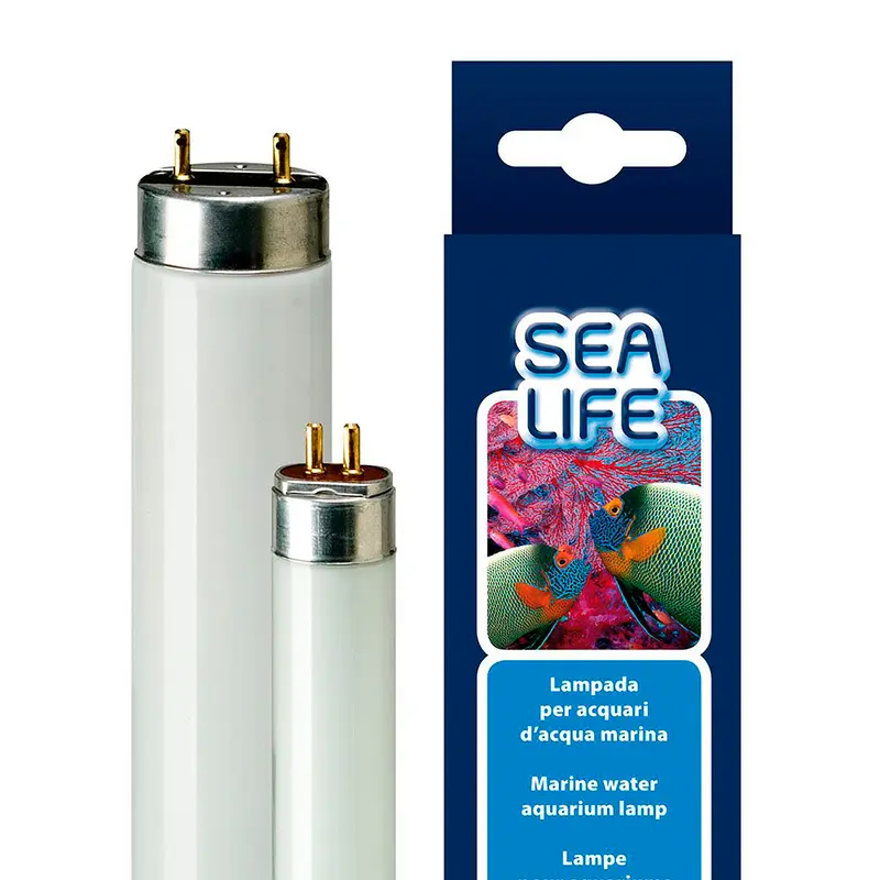 SEALIFE
