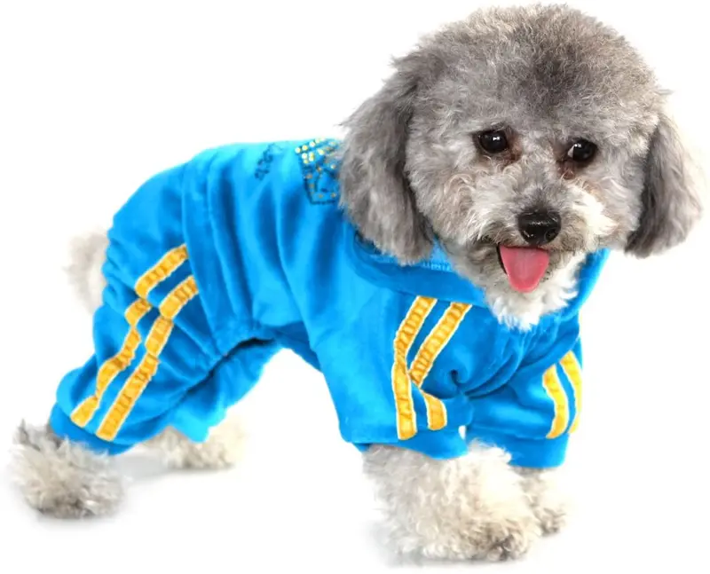 SEIMAI - Mono para perro con capucha para perros pequeños, gatos, cachorros, corona de estrás, suave terciopelo para invierno, con capucha, ropa deportiva y gorro de entrenamiento al aire libre