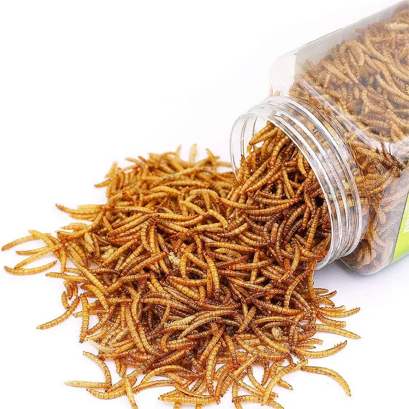 Sequoia Reptile Food Dried Mealworms Pet Worms Food for Bearded Dragon, Lizard, Turtles, Chameleon, Monitor, Frog, Sugar Glider, Chickens, Ducks, Wild Birds, Fish, Hamsters and Hedgehogs