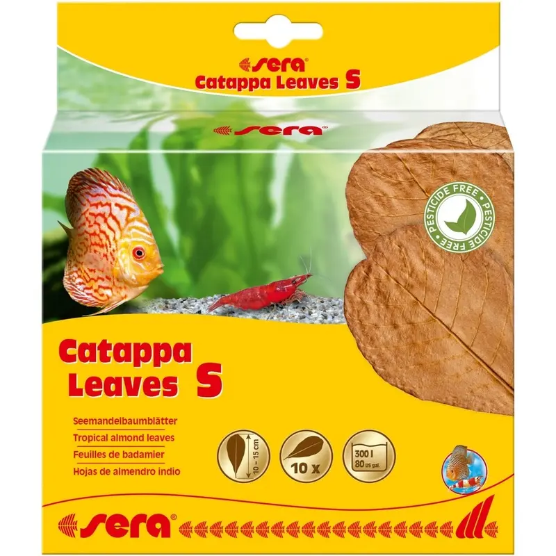Sera Catappa Leaves 10 Hojas de almendro Indio