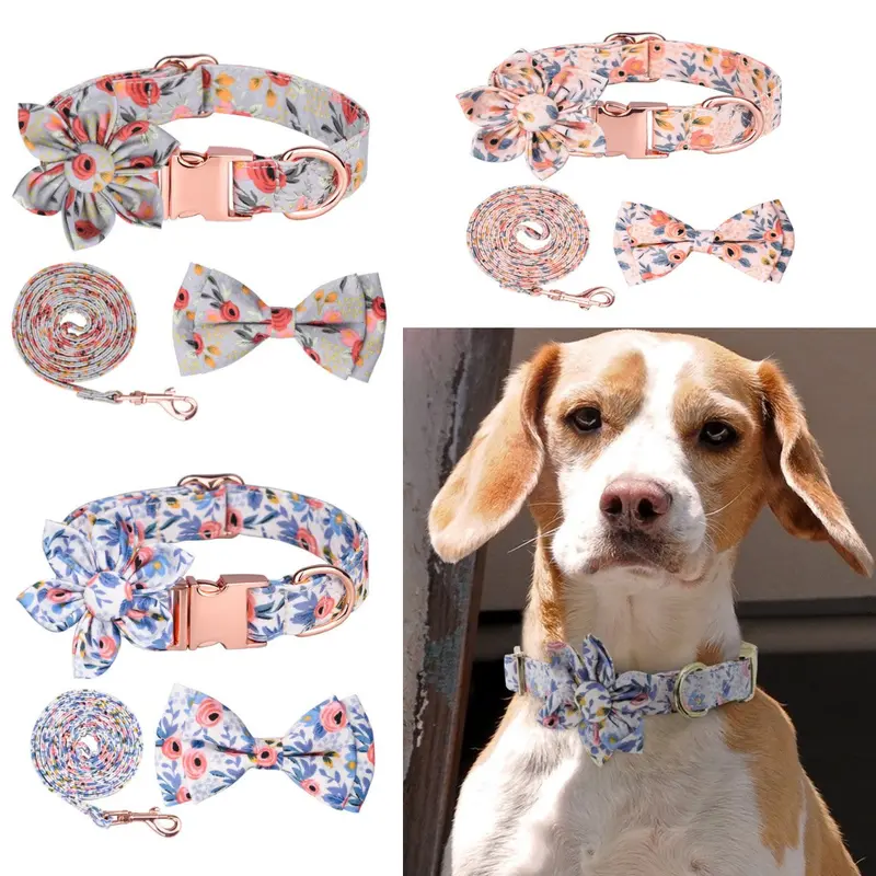 Set De Correa y Collar Con Moño o Flor Talla M