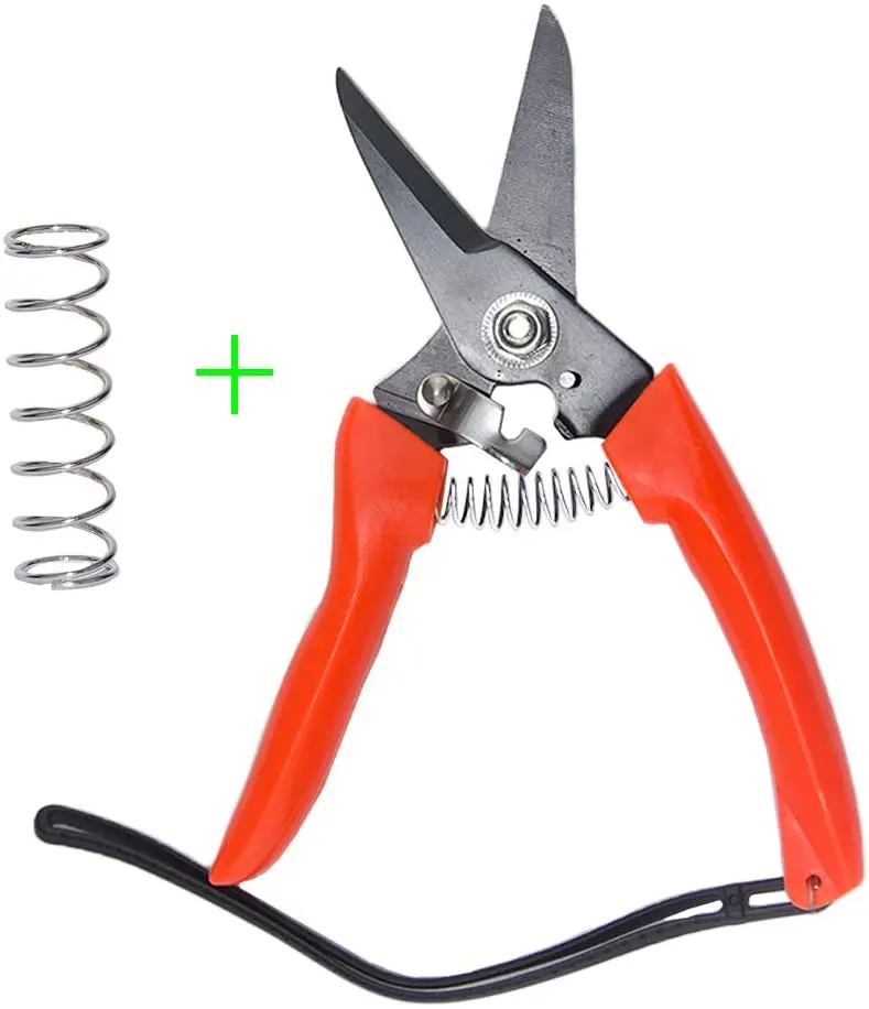 Small Bing SK5 tijeras de acero al carbono ultra Twig para recortar el pelo, cuchilla de afeitar de 7.0 in de largo, empaquetado con resorte de seguridad de carga