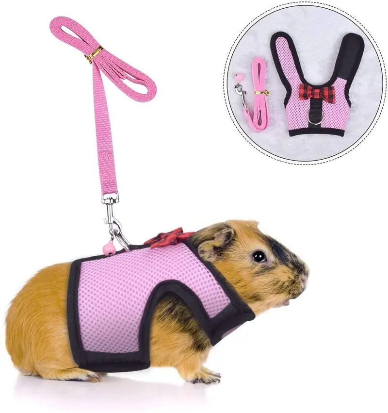 Small Pet Ferret Harness Lessh with Safe Bell, No Pull Comfort Padded Vest Durable Nylon Guinea Pig Harness and Leash Set Adjustable All Season for Rats, Iguana, Hamster, Bearded Dragon and Small Dog