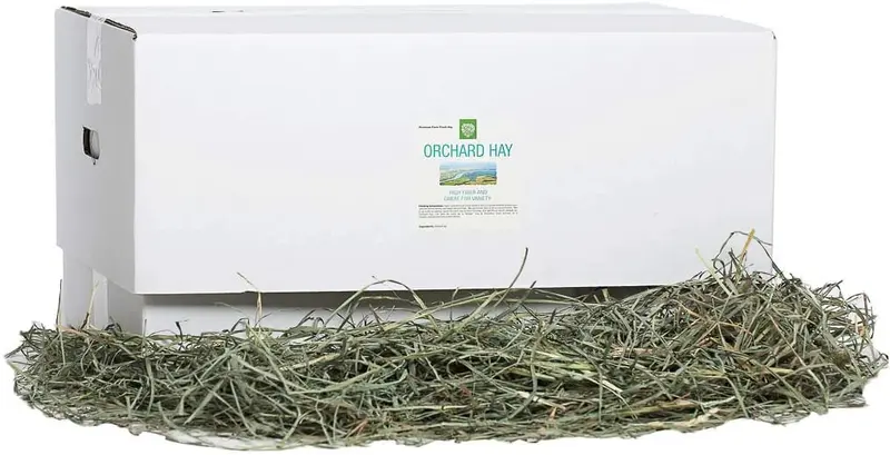 Small Pet Select Orchard Grass Hay Pet Food