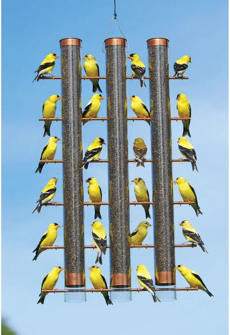 Songbird Essentials Cobre Acabado Finches Favorite Tubo de 3 pájaros se324 C
