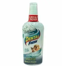 Spray Oral Dental Fresh Original Dogh 8 Oz