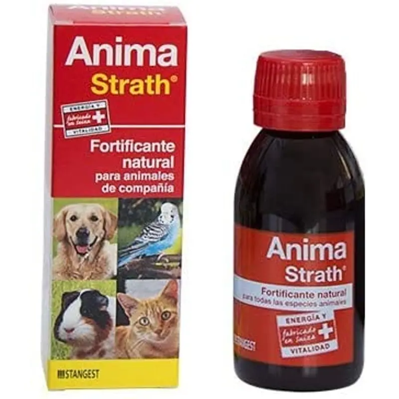 Stangest Anima-Strath Solución Oral