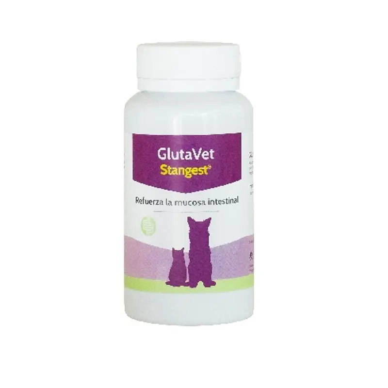 Stangest Glutavet 60 comprimidos