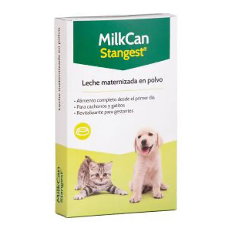 Stangest Perro y gato