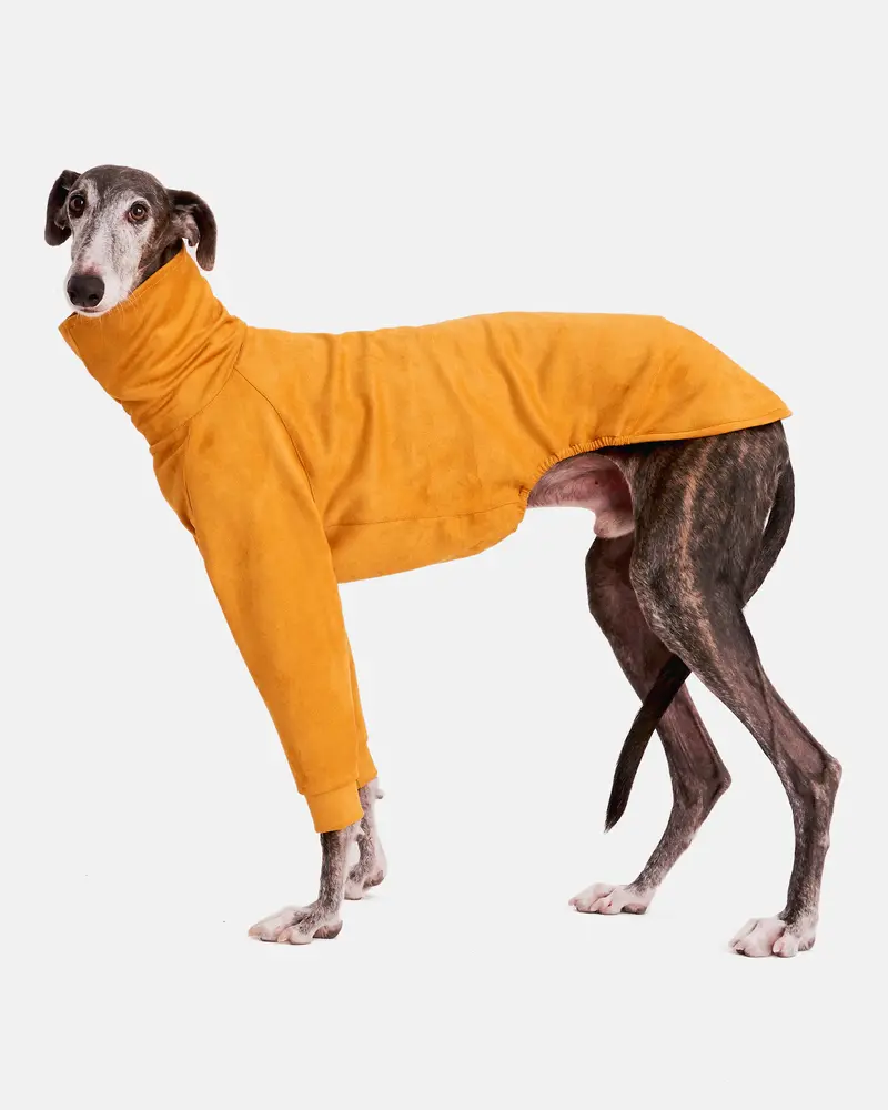 SUDADERA AMARILLA 2 PATAS - GALGO