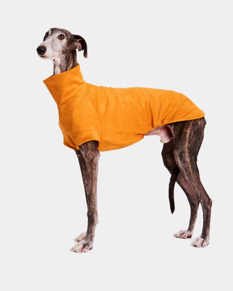 SUDADERA AMARILLA - GALGO