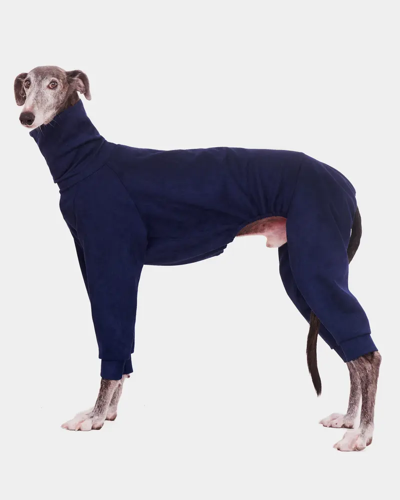 SUDADERA AZUL 4 PATAS - GALGO