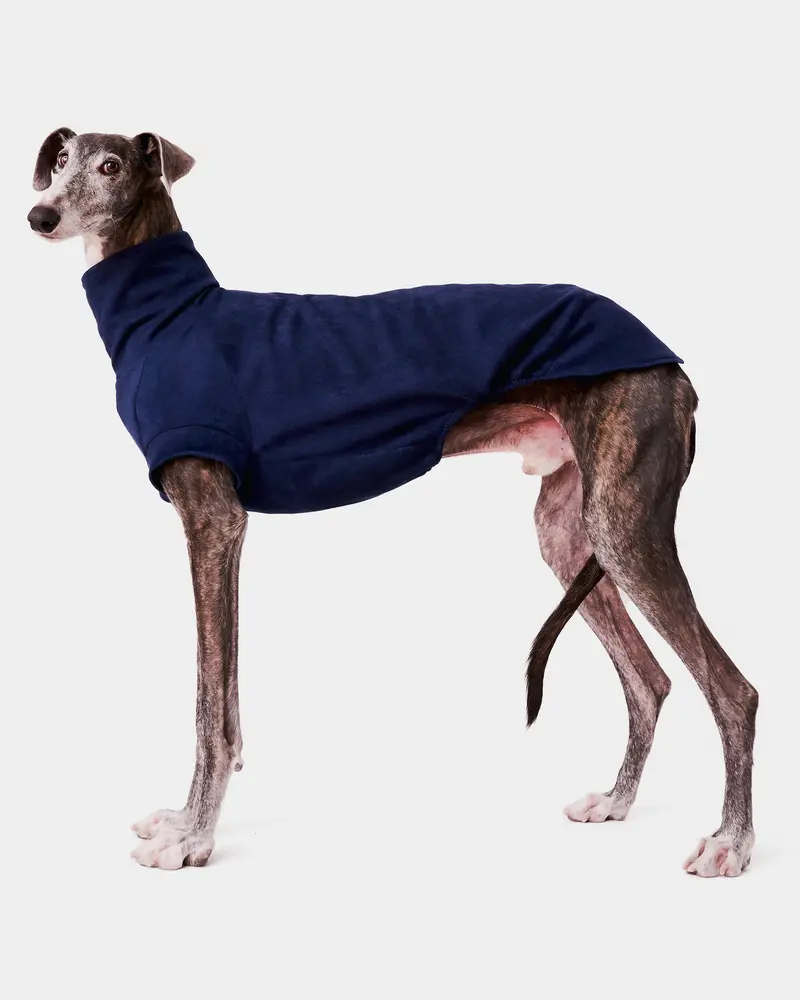SUDADERA AZUL - GALGO