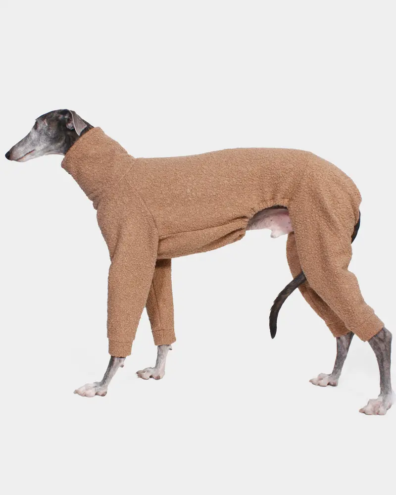 SUDADERA BOUCLE BEIGE 4 PATAS - GALGO